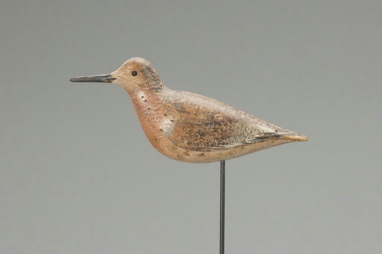 John Dilley – Red Knot – 2018
