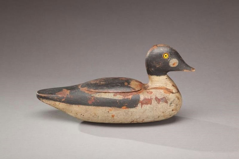 Pete Mitchell – Goldeneye Drake – 2012