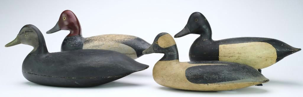 Harry V. Shourds – Black Duck – 2024