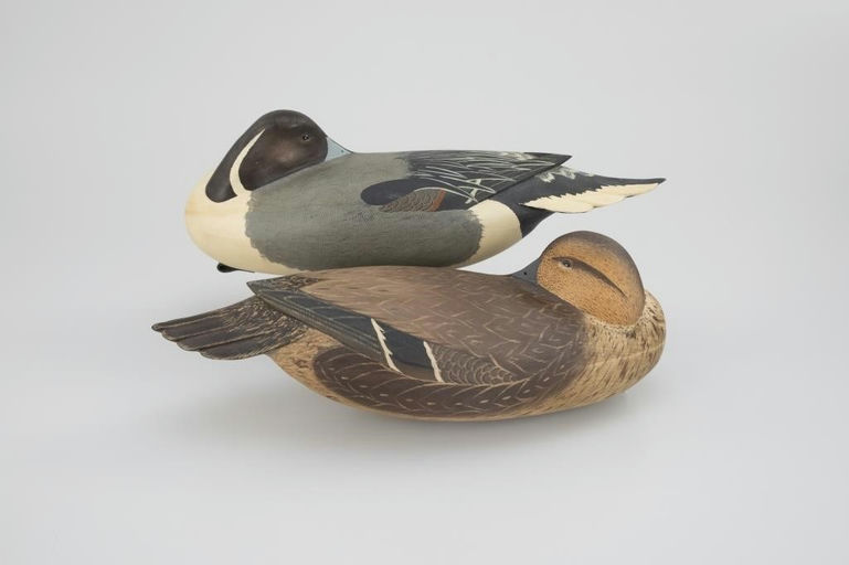 Bob White – Sleeping Pintail Pair – 2026