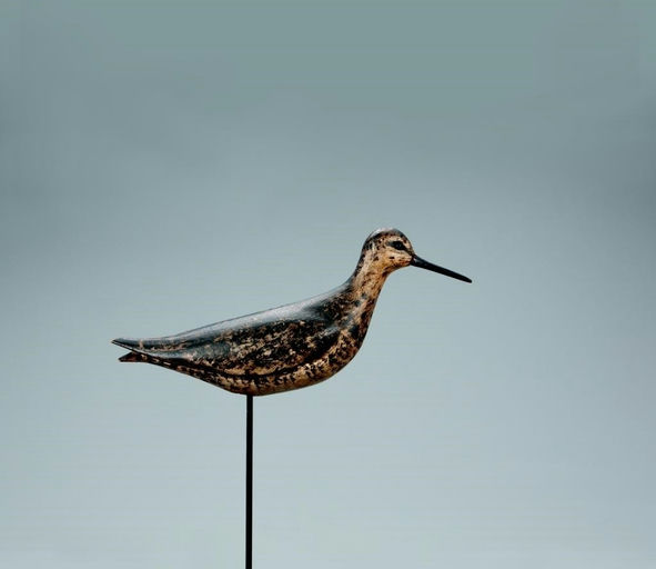 Charles Sumner Bunn – The Ward Reaching Greater Yellowlegs – 2021