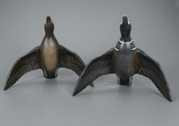 Mike Borrett – Flying Harlequin Pair – 2020