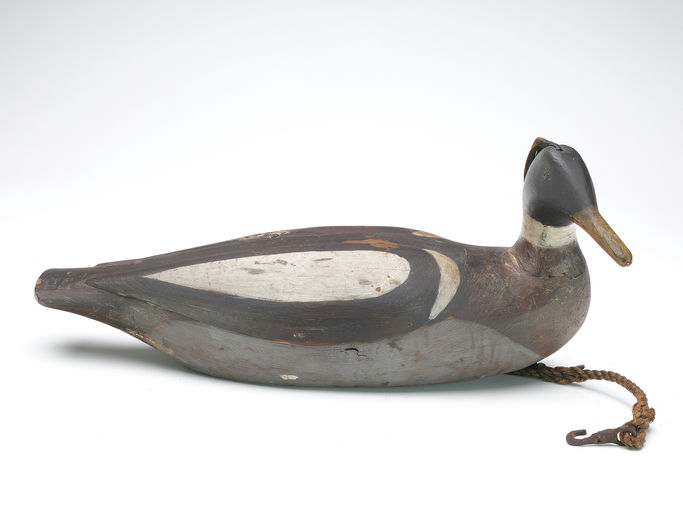 Gus Wilson – Red-breasted Merganser Drake – 2024
