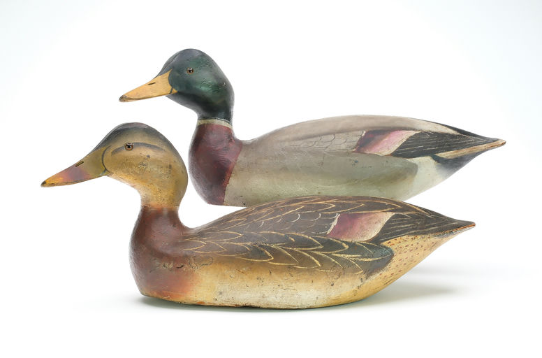 Ward Brothers – Pair of mallards – 2025