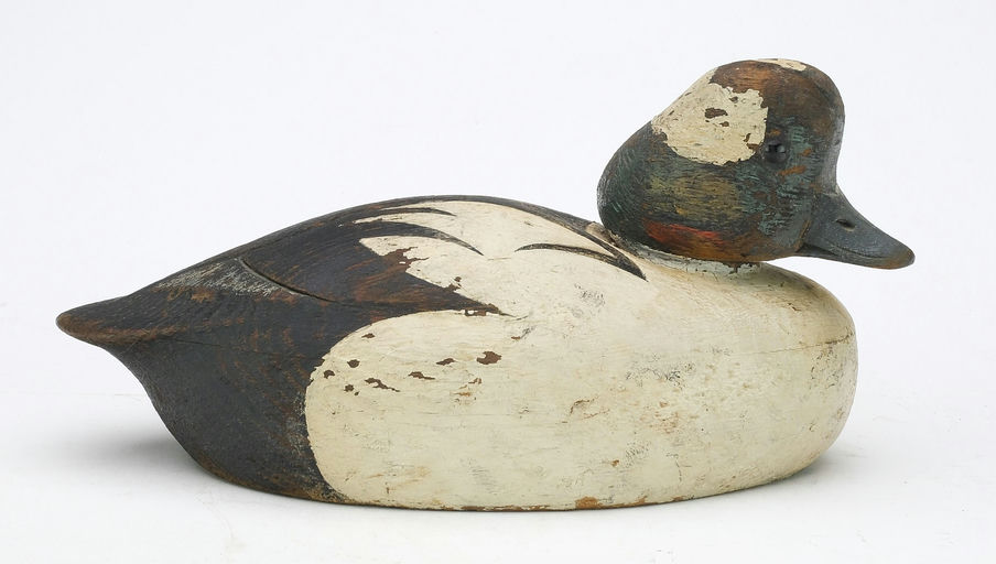 Ken Anger – Bufflehead – 2024