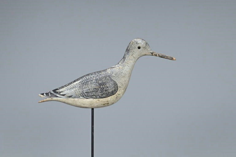 John Dilley – Early Split-tail Willet – 2019