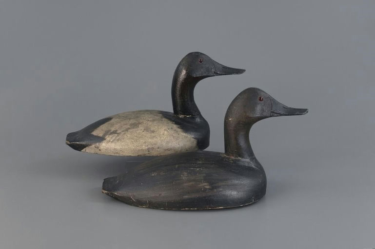 Conrad Jacob Klopping – High-head Canvasback Pair – 2025