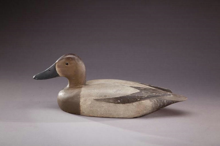 David W. Nichol – Canvasback Hen – 2012