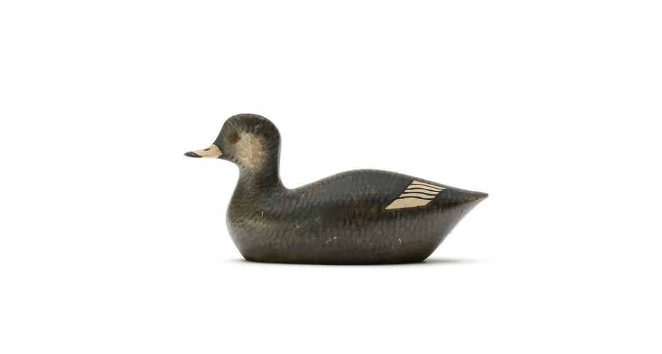 George Boyd – Duck – 2025
