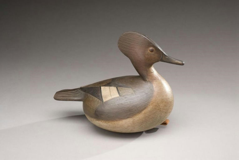 Mark McNair – Hooded Merganser Hen – 2010
