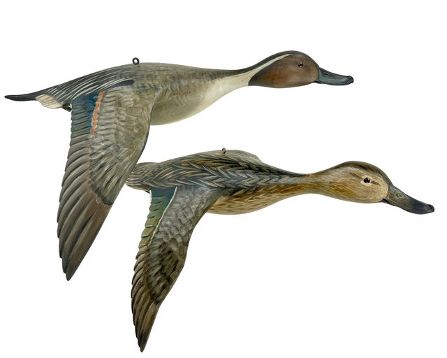 Mike Borrett – Flying Pintail Pair – 2024