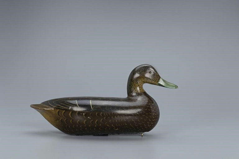 Charles Perdew – Rare Black Duck Hen – 2019
