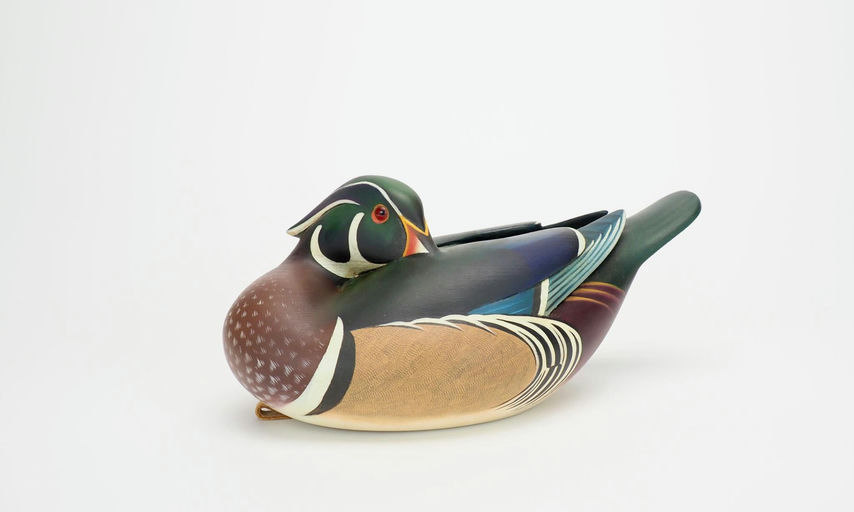 Keith Mueller — Wood Duck