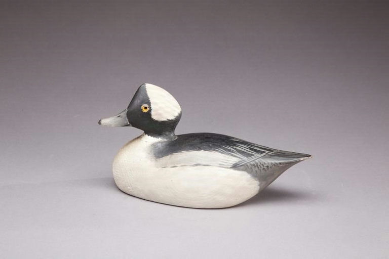 Elmer Crowell – Bufflehead Drake – 2013