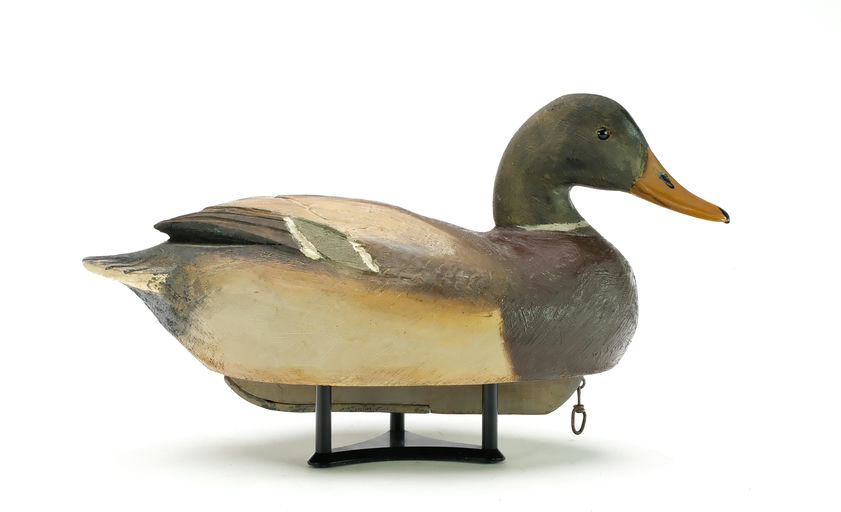 Ben Schmidt – Mallard – 2025