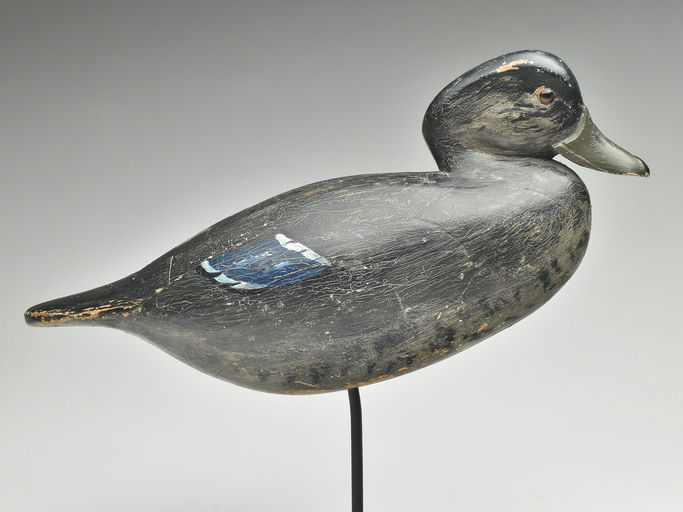 John Tax — Black Duck