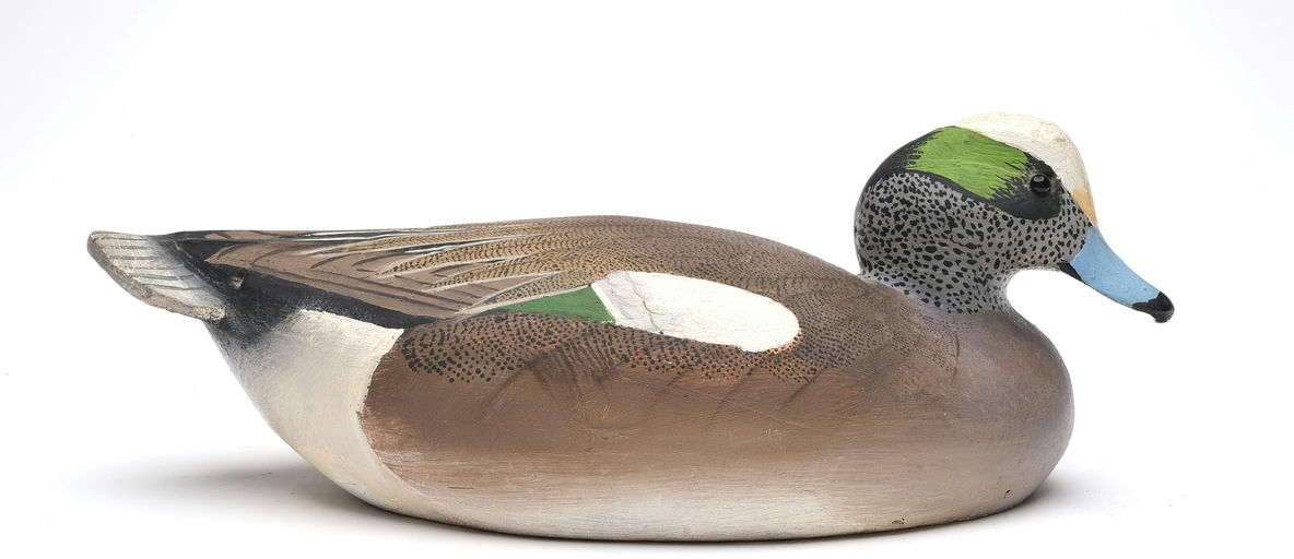 Ward Brothers – Wigeon – 2026