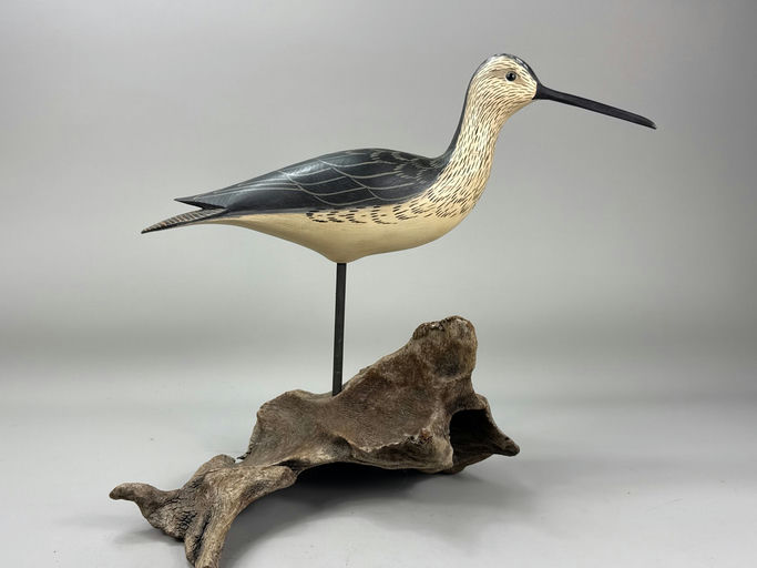 Roe Terry – Yellowlegs – 2026