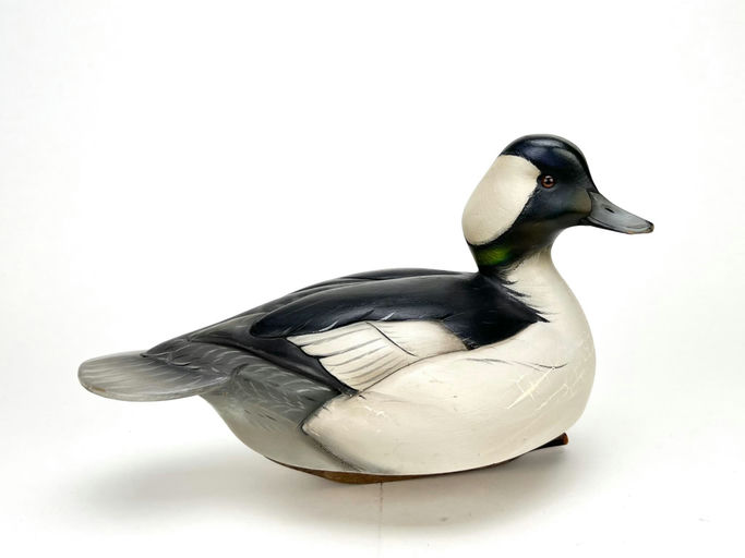 Sean Sutton – Bufflehead Drake – 2024