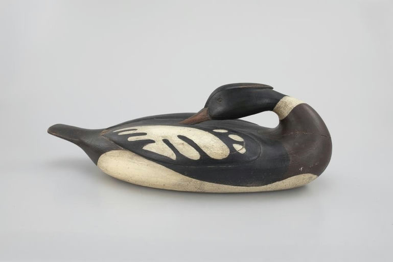 Frank Finney – Preening Merganser – 2026