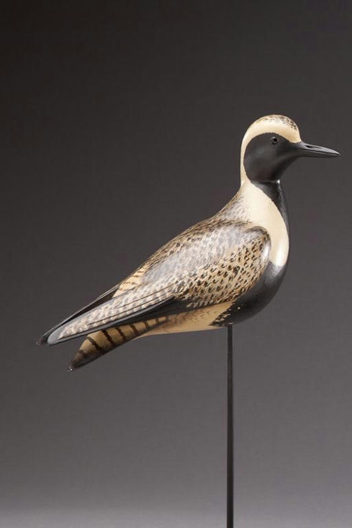 Bill Gibian – Black-Bellied Plover – 2012