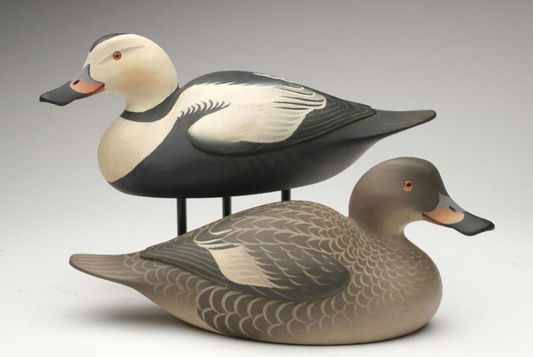 Oliver Lawson – Pair of Labrador Ducks – 2023