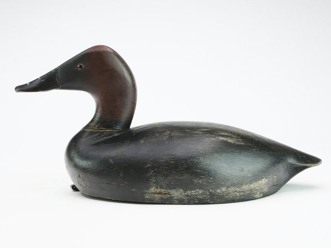 Thomas Chambers – Short Body Canvasback Drake – 2024