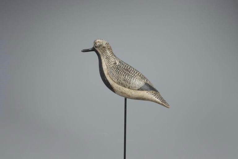 Verity Family – Black-Bellied Plover – 2020