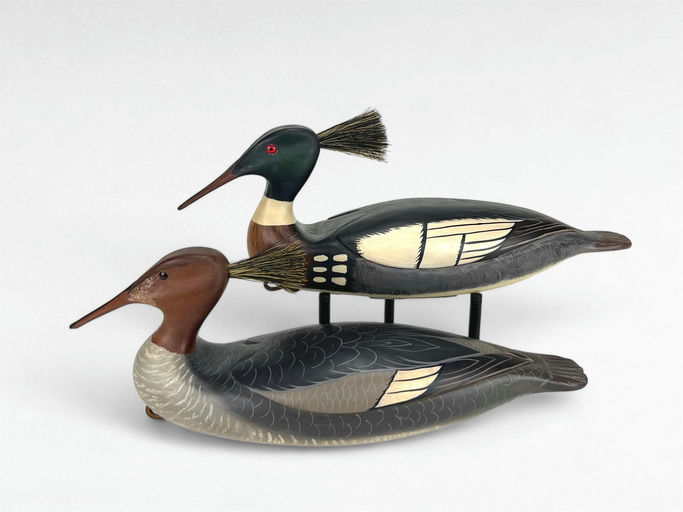 Drew Morrone — Redbreasted Merganser Pair