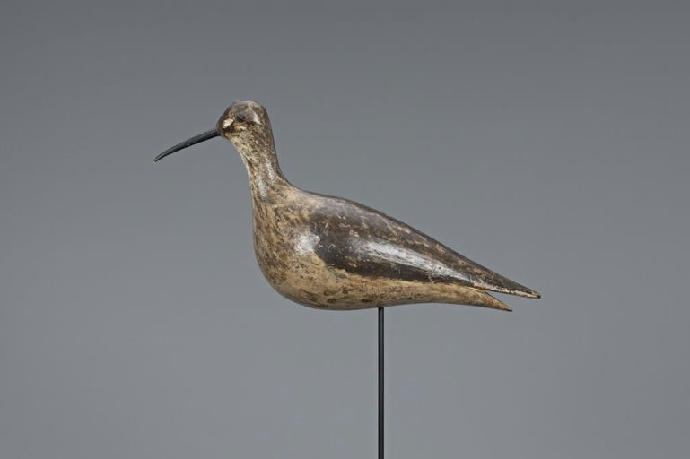 Joseph Lincoln – Exceedingly Rare Eskimo Curlew – 2019