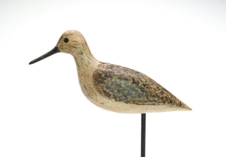 Harry V. Shourds – Yellowlegs – 2026