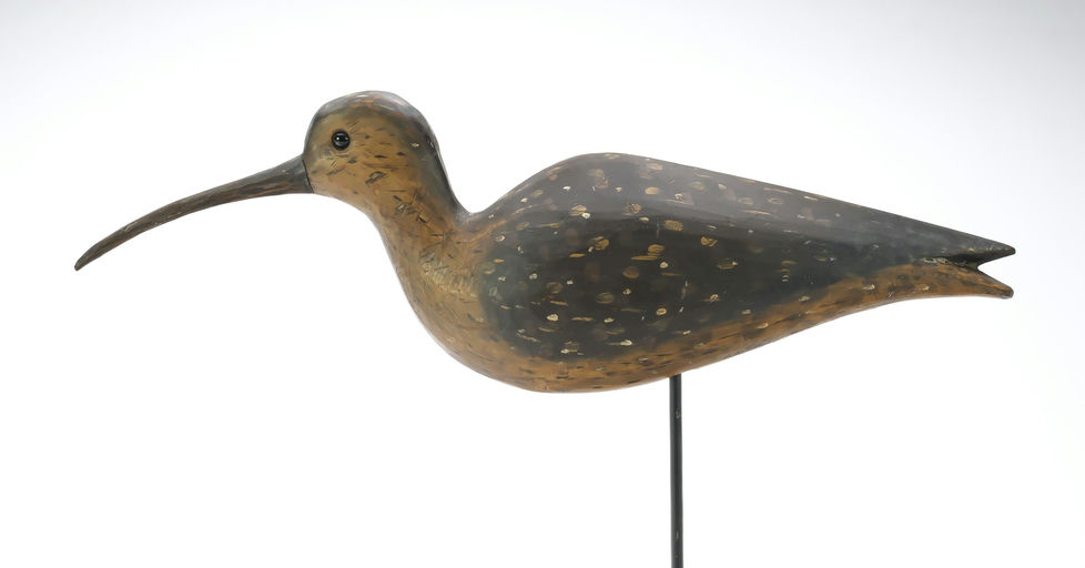 Pete Peterson – Curlew – 2025