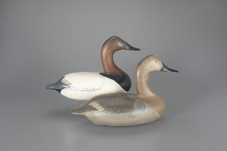 Robert Litzenberg – High-Head Canvasback Pair – 2024