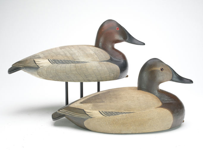 Frank Finney – Pair of full-size canvasbacks – 2023