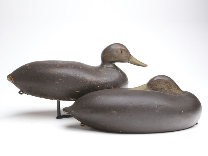 Dave "Umbrella" Watson – Black duck – 2023