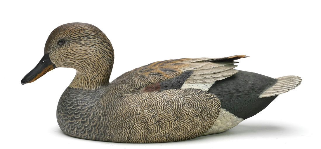 Ben A. Heinemann – Gadwall – 2024