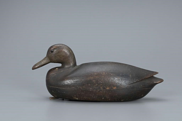 Mark McNair – Black Duck – 2019