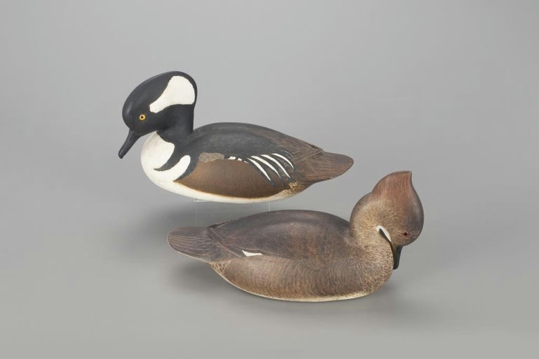 Harold Haertel – The Mackey-Haertel Hooded Merganser Pair – 2022