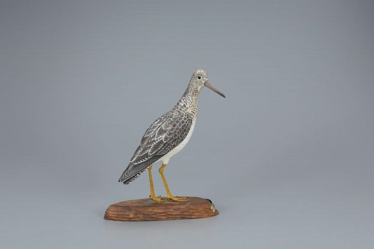 George Csefai – Turned-head Yellowlegs – 2019