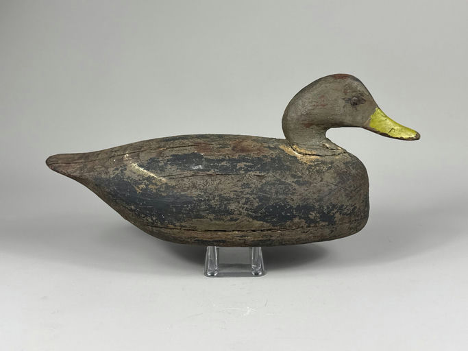 Ira Hudson – Black duck – 2026
