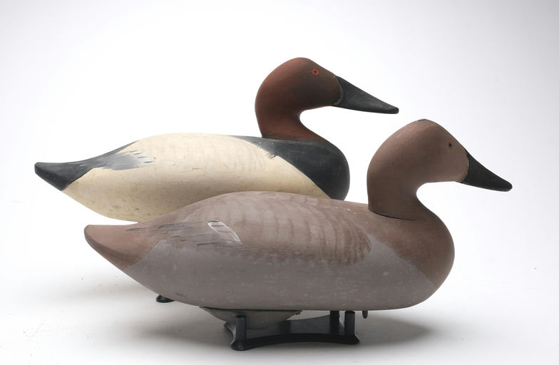 R. Madison Mitchell – Pair of Canvasback – 2026