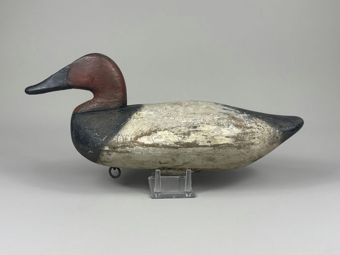 James Holly – Canvasback – 2026