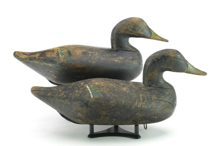 Bob McGaw – Black Duck – 2024