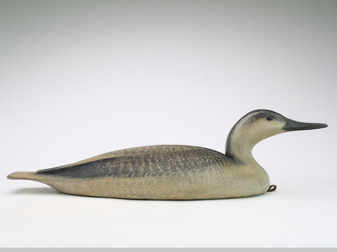 David Ward — Loon