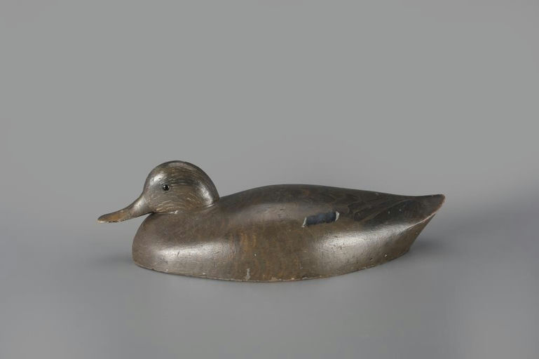 George Warin – Rare Snuggle-Head Mallard Hen – 2024