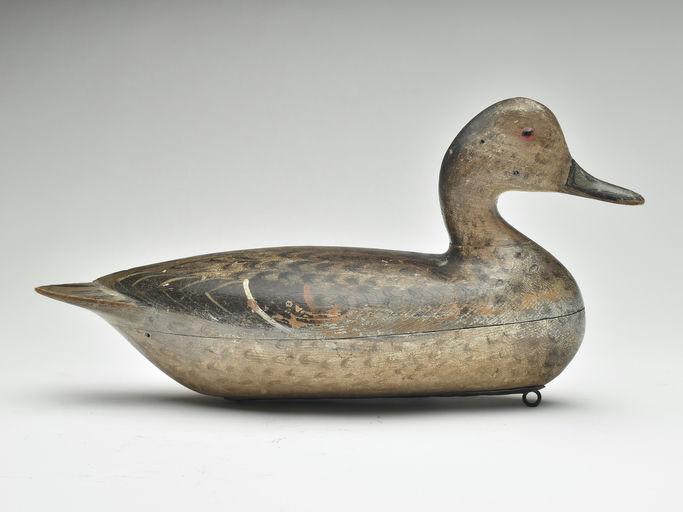 Charles Perdew – Pintail Hen – 2023