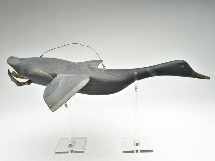 Gus Wilson – Mallard – 2023