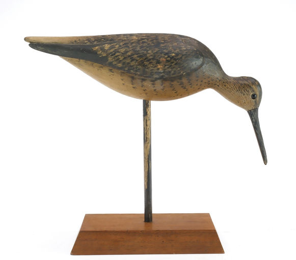 Mark McNair – Early Feeding Dowitcher – 2024