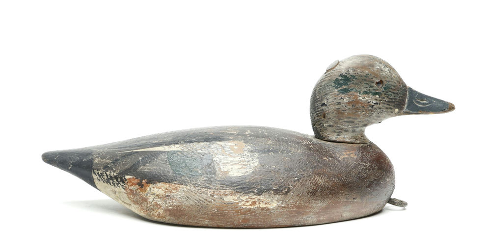 Elmer Crowell – Wigeon – 2026