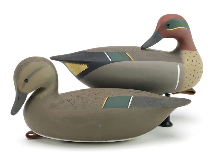 Jamie Hand – Green-winged Teal – 2024